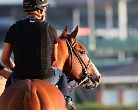 Justify morning works at Churchill Downs on June 15.
