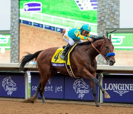 American Pharoah wins the 2015 Breeders' Cup Classic