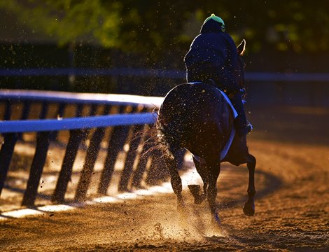 (June 8, 2018) Horse works on the main track at Belmont...