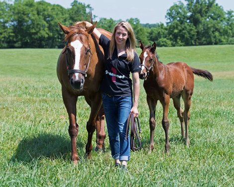 Tanya Gunther with Stage Magic and Pioneerof the Nile foal.<br>
Glennwood Farm scenes on  June 14, 2018 at  Glennwood Farm in Versailles, Kentucky. 