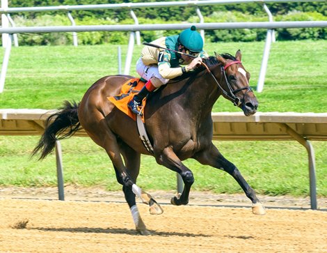 Maya Malibu winning at Delaware Park on 8/5/17