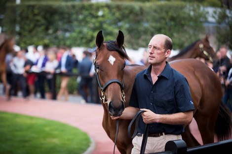M.V. Magnier signs for Lot 34 American Pharoah x Shawara yearling filly bidding €750,000.<br><br />
Arqana August Yearling Sale.<br><br />
Deauville.<br><br />
Photo: Patrick McCann/Racing Post 18.08.2018