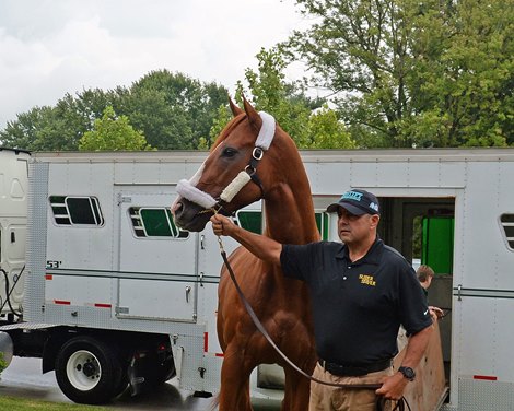 Justify with stallion manager Larry McGinnis at WinStar Farm on Aug. 1, 2018 in Versailles, Kentucky. 