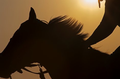 morning training scene Training and racing at Saratoga Aug. 24, 2018 Saratoga in Saratoga Springs, New York. 