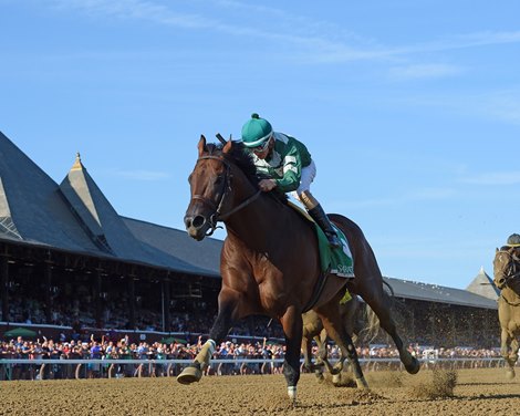 Always Sunshine wins the 2018 Tale of the Cat                               