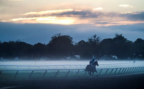 Morning exercise on the Oklahoma Training Center track Wednesday Aug. 15, 2018 in Saratoga Springs, N.Y.  