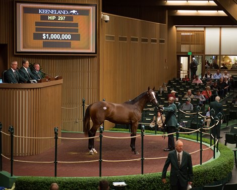 Hip 297 colt by Pioneerof the Nile from Pomeroys Pistol and Brookdale, for Hardcore Keeneland September Sales from Sept. 7 to Sept. 23, 2018. Sept. 11, 2018 Keeneland in Lexington, Kentucky. 