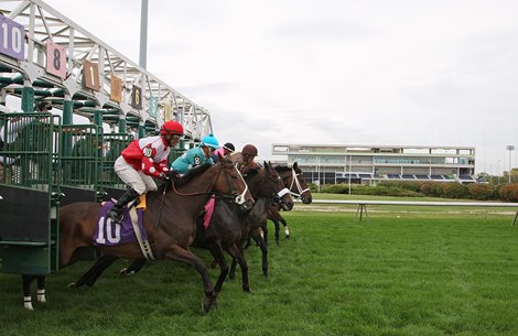 Thoroughbreds break from the Starting Gate in the 5th race on Friday October 11, 2013 with the New Meadowlands Racetrack Building in the background in East Rutherford, New Jersey.  The Meadowlands Racetrack is hosting 10 days of all-turf thoroughbred racing through November 2nd, and will open their new building on November 23, 2013.  