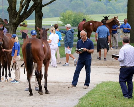 Amer Abdulaziz, 2018 Keeneland September Sales
