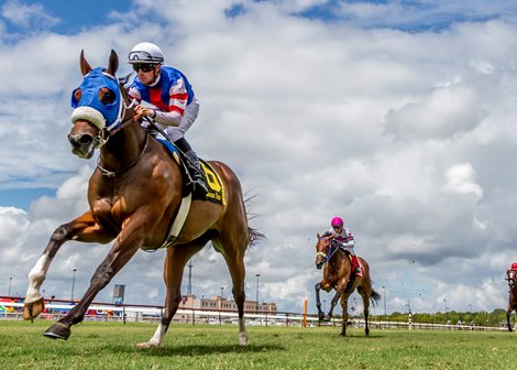 Taylor&#39;s Spirit wins the Happy Ticket Stakes at Louisiana Downs Sunday, September 2, 2018.