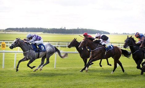 Havana Gray and Richard Kingscote win Derrinstown Stud Flying Five Stakes (Group 1).  Keep your head down.  September 16, 2018