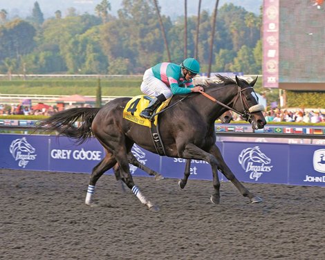 Zenyatta wins the 2009 Breeders' Cup Classic