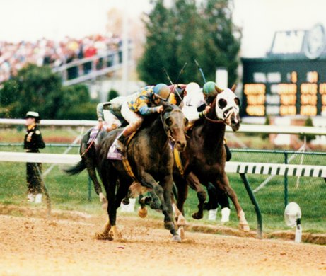 Concern wins the 1994 Breeders' Cup Classic