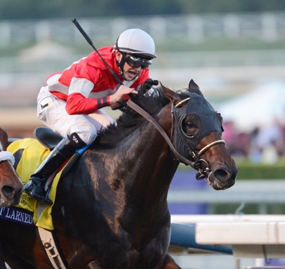 Fort Larned in the Breeders' Cup Classic.
