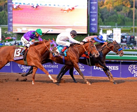 Bayern wins the 2014 Breeders' Cup Classic.