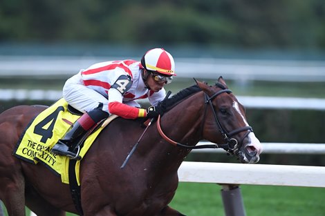 Complexity wins the 2018 Champagne Stakes at Belmont Park