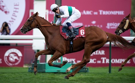 Call The Wind (Aurelian Lemaitre) wins the Prix Cadran<br>
Longchamp, Paris 6.10.18