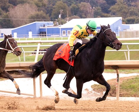 Crabcakes wins the 2018 Maryland Million Distaff Handicap