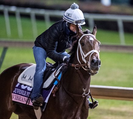 Vibrance on track at Churchill Downs on Breeders&#39; Cup week Monday October 29, 2018 in Louisville, KY