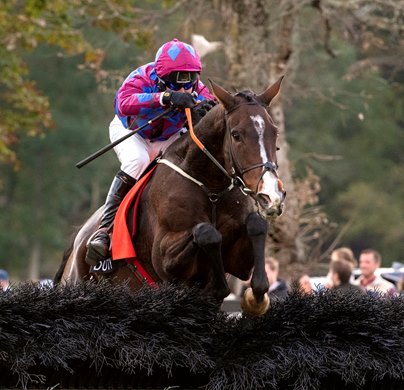 Jury Duty ridden by Robbie Power, owned by Sideways Syndicate takes the final fence on the way to the win in The Grand National (G1) at the Far HIlls Race Meet Saturday Oct. 20, 2018 in Far Hills, N.J.