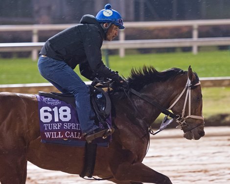 Will Call<br><br />
Breeders&#39; Cup horses Oct. 26, 2018 Churchill Downs in Louisville, Ky. 