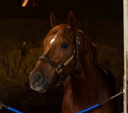 Mind Your Biscuits - Churchill Downs, October 20, 2018