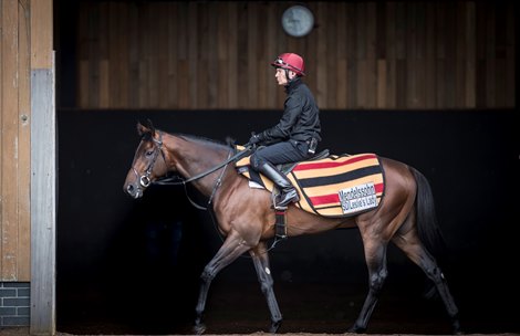 Mendelssohn at Ballydoyle. Photo: 14.05.2018