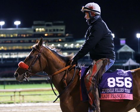Lady Prancealot - Churchill Downs - Gallop - 110218