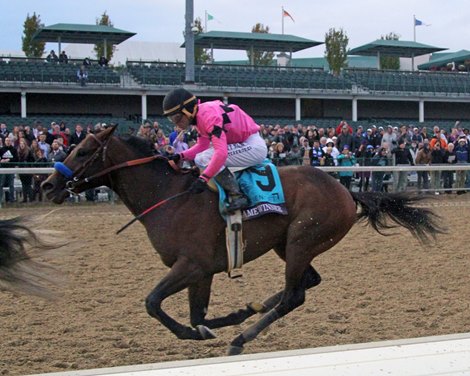 Game Winner with Joel Rosario win the Breeders&#39; Cup Juvenile at Churchill Downs on November 2, 2018.