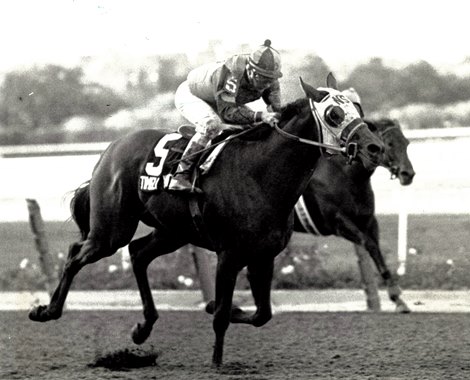 Timely Writer wins the 1981 Champagne Stakes