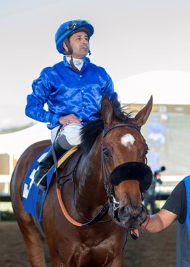 Elsa and jockey Joe Bravo are guided into the winner&#39;s circle after their victory in the Grade III, $100,000 Jimmy Durante Stakes, Saturday, November 24, 2018 at Del Mar Thoroughbred Club, Del Mar CA.
