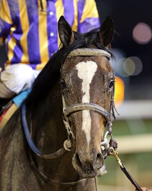 Signalman wins 2018 Kentucky Jockey Club at Churchill Downs