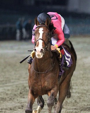 War of Will wins 2018 Maiden at Churchill Downs