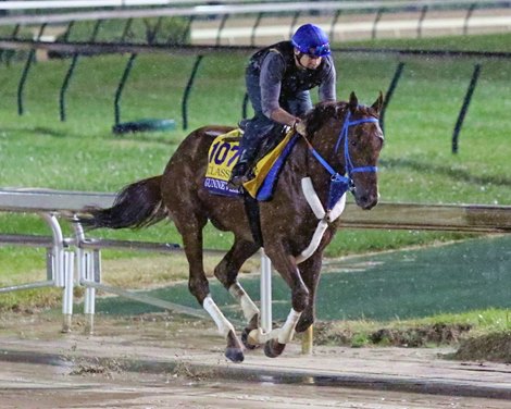 Gunnevera on the track at Churchill Downs on November 1, 2018