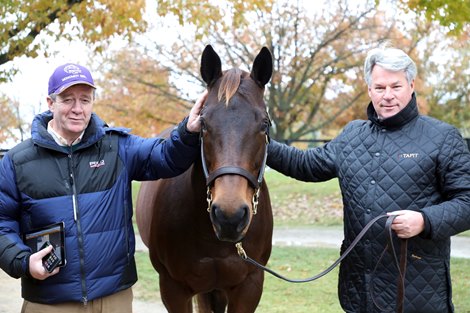 Brendan Gallagher, Michael Hernon, Hip 153, Drumette, dam of Monomoy Girl, 2018 Fasig-Tipton November Sale