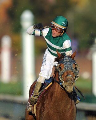 Breeders&#39; Cup Saturday November 3, 2018: Accelerate, Joel Rosario up, wins the 35th Breeders&#39; Cup Classic at Churchill Downs<br><br />

