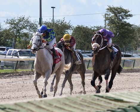 Mr. Jordan wins the 2018 Millions Classic Preview