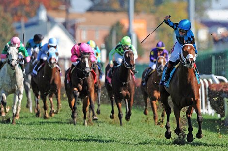 Breeders&#39; Cup Saturday November 3, 2018: Stormy Liberal Drayden Van Dyke up, wins the Breeders&#39; Cup Turf Sprint