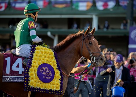 Accelerate wins the Breeders Cup Classic at Churchill Downs, jockey Joel Rosario up