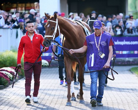 Monomoy Girl wins 2018 Breeders&#39; Cup Distaff
