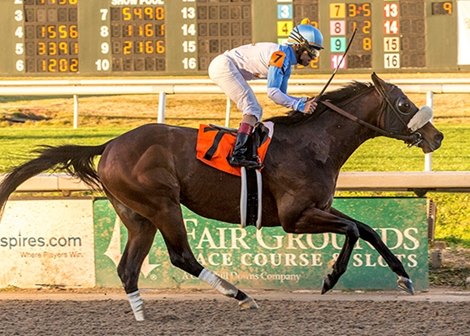 Tom&#39;s d&#39;Etat wins the Tenacious Stakes Dec. 22 at Fair Grounds