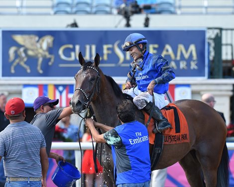 Classic Fit wins the 2018 Hut Hut Stakes at Gulfstream Park.