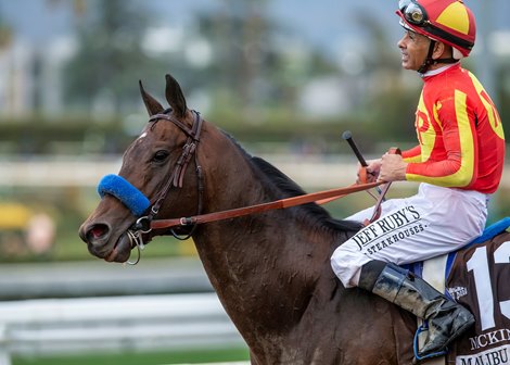 Jockey Mike Smith guides McKinzie to the winner&#39;s circle after their victory in the Grade I, $300,000 Malibu Stakes, Wednesday, December 26, 2018 at Santa Anita Park, Arcadia CA.<br><br />
&#169; BENOIT PHOTO