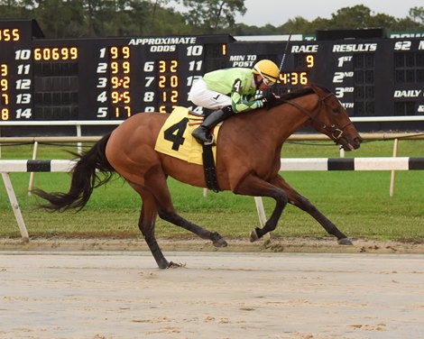 Fashion Faux Pas wins the 2018 Sandpiper Stakes at Tampa Bay Downs