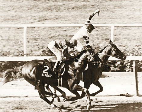 Affirmed wins the 1978 Belmont Stakes over Alydar Affirmed wins the 1978 Belmont Stakes over Alydar
