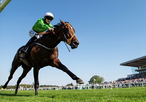 Arthur Kitt finishes 2nd in the Solario stakes Sandown 1.9.18 