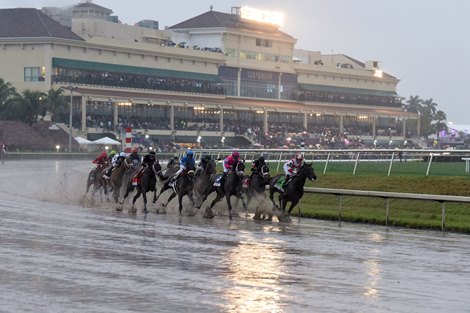 City of Light wins 2019 Pegasus World Cup Invitational Stakes