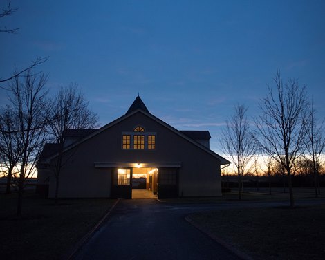 Pre sunrise. Accelerate and City  of Light arrive at Lane's End Farm near Versailles, Ky., on Jan. 28, 2019.