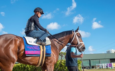City of Light and Javier Castellano - Gulfstream Park, January 19, 2019