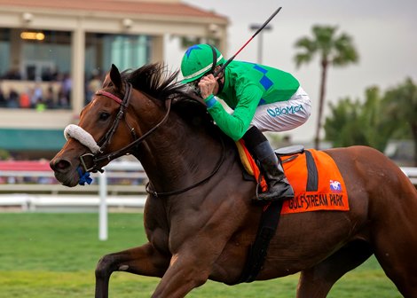 SI QUE ES BUENA wins the La Prevoyante at Gulfstream on January 26, 2019, jockey Chris Landeros up